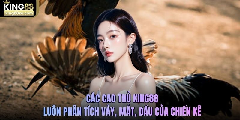 Các cao thủ King88 luôn phân tích vảy, mắt, đầu của chiến kê