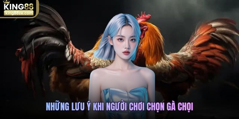 Những lưu ý khi người chơi trong cách chọn gà chọi