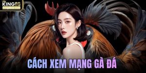 Cách xem mạng gà đá