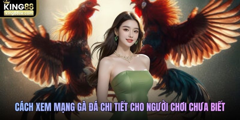 Cách xem mạng gà đá chi tiết cho người chơi chưa biết