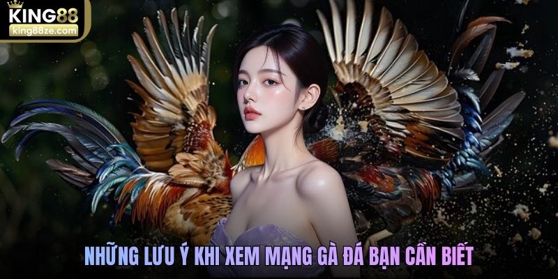 Những lưu ý khi xem mạng gà đá bạn cần biết