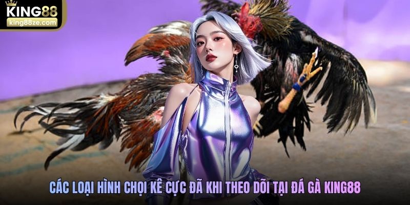 Các loại hình chọi kê cực đã khi theo dõi tại đá gà King88