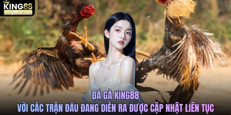 Đá gà King88 với các trận đấu đang diễn ra được cập nhật liên tục
