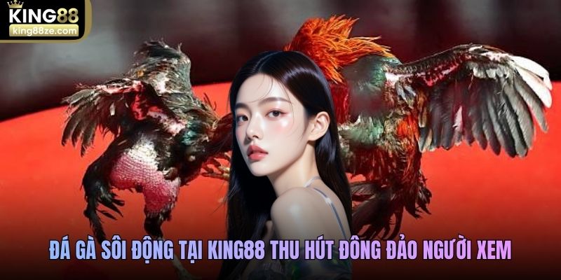 Đá gà sôi động tại King88 thu hút đông đảo người xem