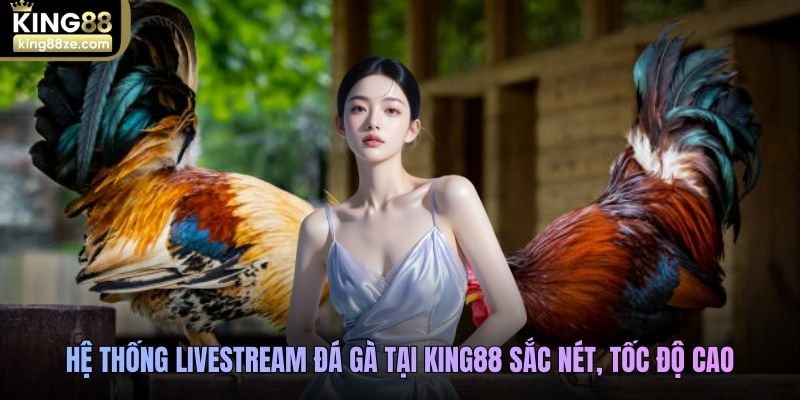 Hệ thống livestream đá gà tại King88 sắc nét, tốc độ cao