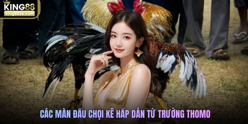 king88-cac-man-dau-choi-ke-hap-dan-tu-truong-thomo