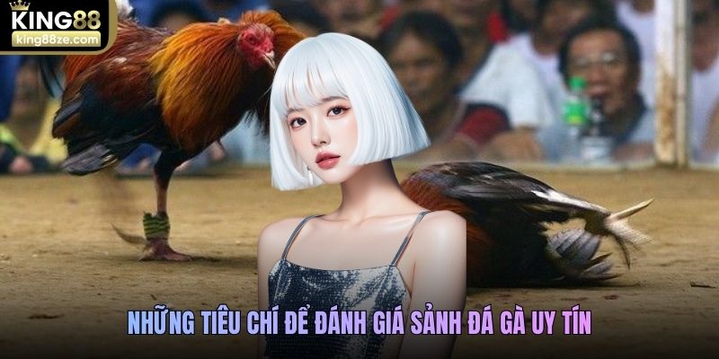 Những tiêu chí để đánh giá sảnh đá gà uy tín